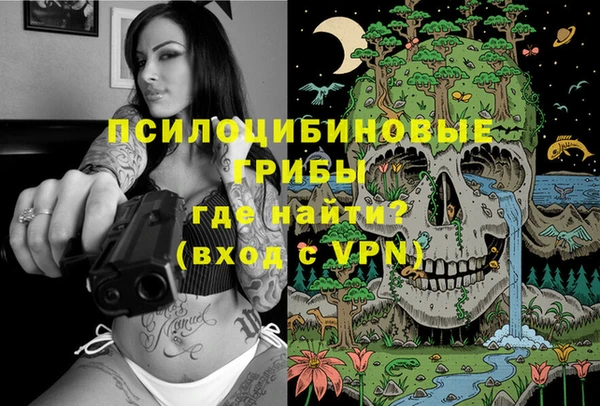 стафф Баксан