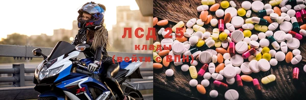 стафф Баксан