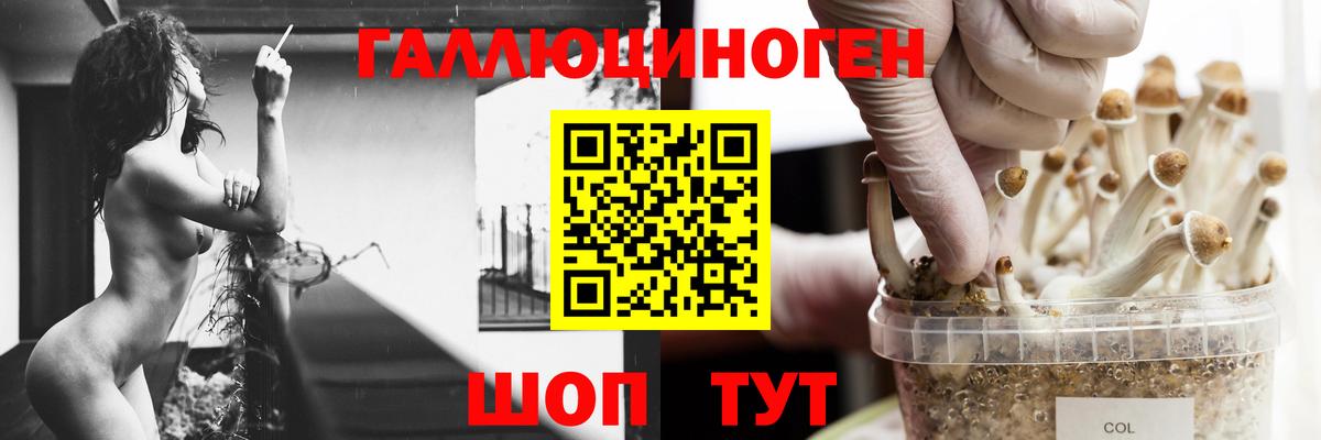 Арсеньев  Псилоцибиновые грибы мухоморы  купить закладку  Вход с VPN 
